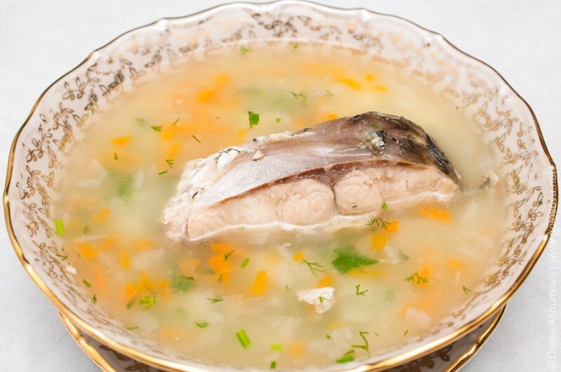 sup ikan untuk diet 6 kelopak